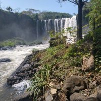 Carlos Acuña Miranda (@carlosa6mx) 's Twitter Profile