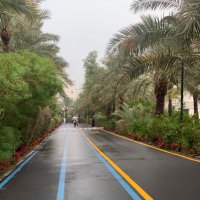 لمى (@lmaasultan) 's Twitter Profile Photo لمى (@lmaasultan) 's Twitter Profile Photo
