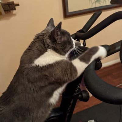 VarysMom's profile picture. 