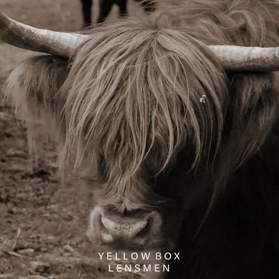 📍 Hampshire, UK -
Photographic Artisan -
All Shots Are Originals -
📸 - Canon EOS R5 -
Etsy - https://t.co/PgHg5vXlSa