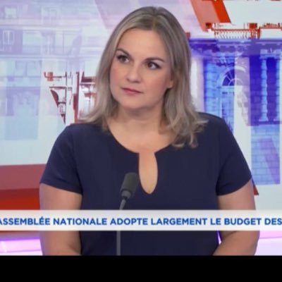 Journaliste @LCP Parlement Hebdo, Europe Hebdo, Vu d'Ailleurs, la revue de presse étrangère dans Politique Matin