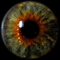 SpyNet (@spynet_eng) 's Twitter Profile