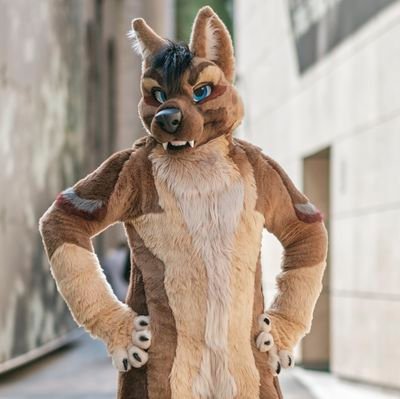 New Shep, who this?   29 - Engineer - Big Fluffy Boi - ✂️@madefuryou - feel free to say hi 😁 18+