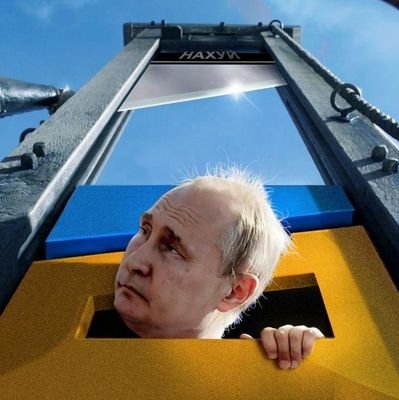 DZordin's profile picture. 