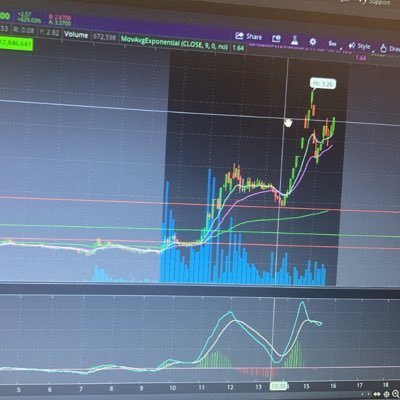 whizchitches's profile picture. 