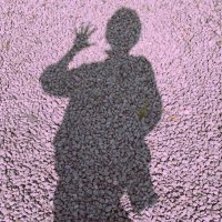 ゆえ🎑🐈‍⬛ (@hpns_marfish) 's Twitter Profile Photo