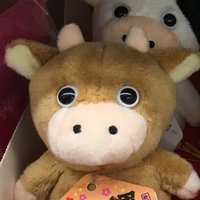 わお🍉きつねざる🐮🇵🇸 (@poyjerwithgaje) 's Twitter Profile