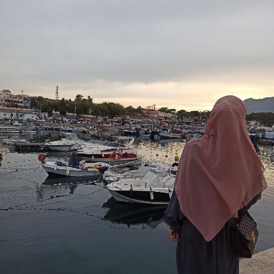 ﴿وَمَا تَوْفِيقِي إِلَّا بِاللَّهِ ۚ عَلَيْهِ تَوَكَّلْتُ وَإِلَيْهِ أُنِيبُ﴾
Computer science engineer from ESI