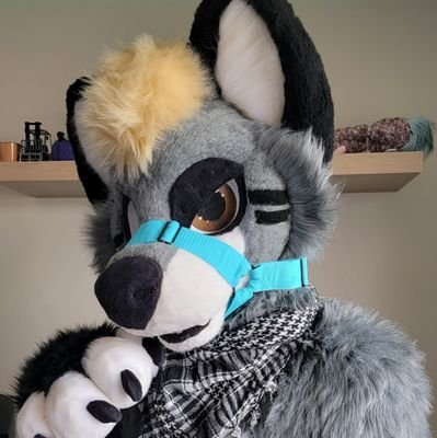 23/Male, 18+ only 🔴INACTIVE FOR THE TIME BEING