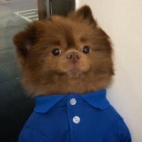 The Harold Memeplex ๐ (@mister_azathoth) 's Twitter Profile Photo The Harold Memeplex ๐ (@mister_azathoth) 's Twitter Profile Photo