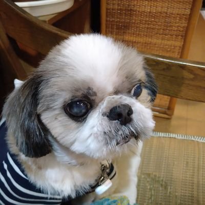 abisakae's profile picture. 名前変えました
🏯🚃🚄
どれも初心者🔰の無知です
インスタグラム多めです