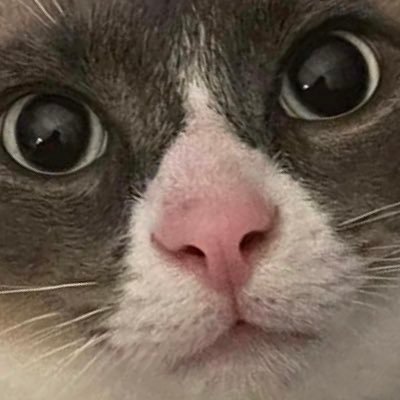 KalebSm40157920's profile picture. God first, basketball,football, and family