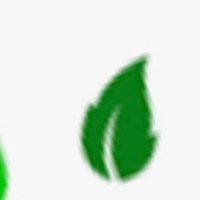 UmbrellaBird (@leadwkindness) 's Twitter Profile