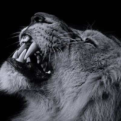 Bola_Ghazala's profile picture. 01203698812