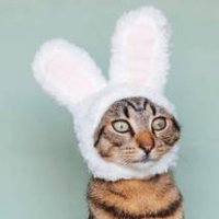 Audrey Debrouillard (@quiet_violet_) 's Twitter Profile