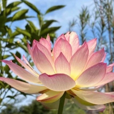 NhmP39vU1dfm7Dy's profile picture. 和泉ナンバー　男