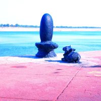 🇮🇳 राधेश्याम🚩 (@dr_pal_avi) 's Twitter Profile Photo