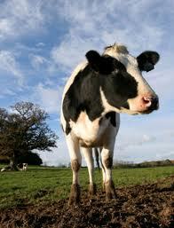 AgraFacts's profile picture. Brussels-based news service covering EU agriculture, trade & environment policy