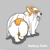 aaikeyikseteih's profile picture. ─ Nina Dobrev hakkında bilgiler,
çeviriler için takip edebilirsiniz 🥂
  
𝙁𝙖𝙣 𝙖𝙘𝙘. nina