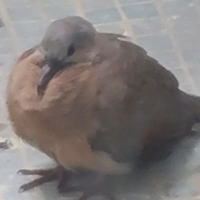 病九さんのプロフィール画像