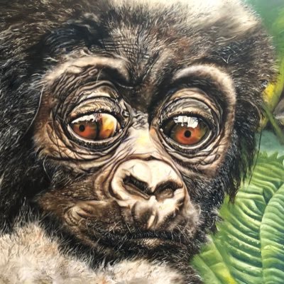 GenYuta256's profile picture. Ultimate Justice to Enjoyment