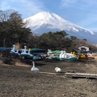 みけ (@mike06302) 's Twitter Profile