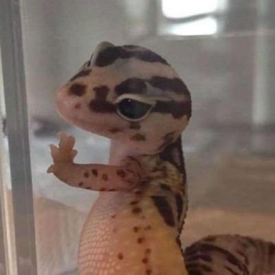 1YZYaCEuuOJZuZP's profile picture. 