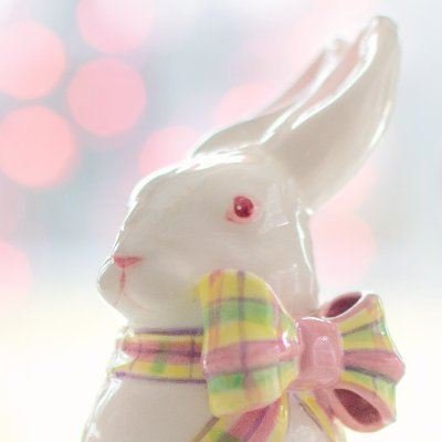 DidataE87562's profile picture. 