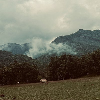 Saifulhuck's profile picture. 