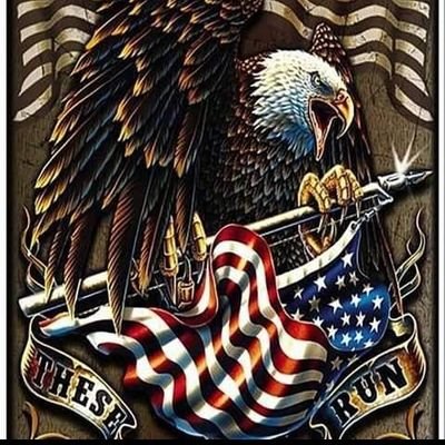 AlphaAmado49499's profile picture. 