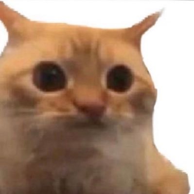 NerCarper's profile picture. (any pronouns) if you think I’m stupid now you should see me when I’m hi