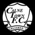 Calne Town FC Reserves (@calne_town) Twitter profile photo