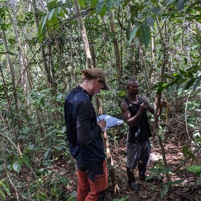 MSc student @WUR with deep interest in studying biodiversity patterns and forest ecology