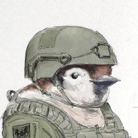Patso_Catso (@patsocatso) 's Twitter Profile Photo