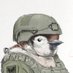 Patso_Catso (@patsocatso) Twitter profile photo Patso_Catso (@patsocatso) Twitter profile photo