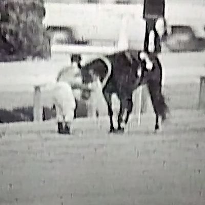 JEn7dELs6A7qlIk's profile picture. 