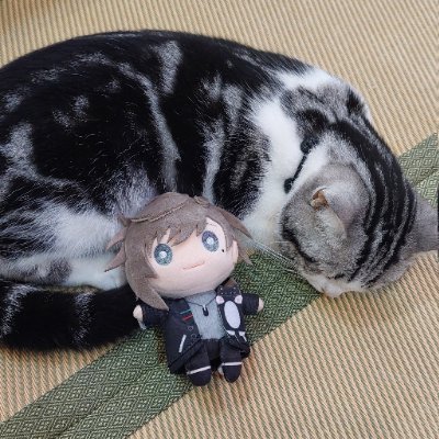 Akaneさんのプロフィール画像