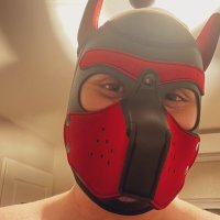 Pup Falcor (@falcor_pup) 's Twitter Profile Photo Pup Falcor (@falcor_pup) 's Twitter Profile Photo