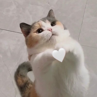 จี๊ดเอง🫶🏻||✨||เพ่ก❤️||✨||มัมหมีพิปะเต้💙||✨||มัมหมีพิกาย🧡||✨||Twice💗|| ✨||PRX🔥|| INFJ?