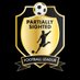 Partially Sighted Football League (@PSFLUK) Twitter profile photo