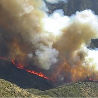 FireShowing - Habbo (@fireshowinghab) 's Twitter Profile