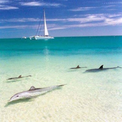 getch29356's profile picture. 