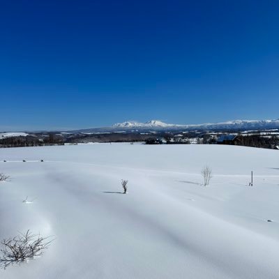 河野奈々帆ちゃんとNARLOW、阪神タイガースが大好き！ 奈々色に染め隊、りたんちゅーどく、転生者  無言フォロー失礼します。 こちらの無言フォローも大歓迎です！よろしくお願いします🙇‍♀️