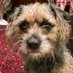 David Richards (@aderynglas1927) Twitter profile photo David Richards (@aderynglas1927) Twitter profile photo