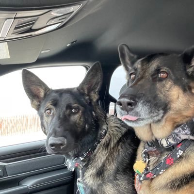 justinschmeich3's profile picture. huge Blackhawks fan