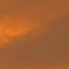 heartlessboysss's profile picture. 