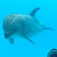 Simon (@simon67963026) 's Twitter Profile