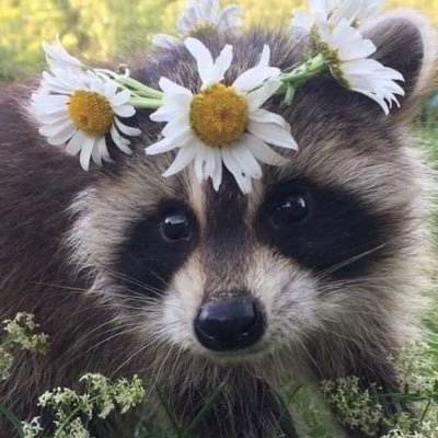 21trbl_mp3's profile picture. 