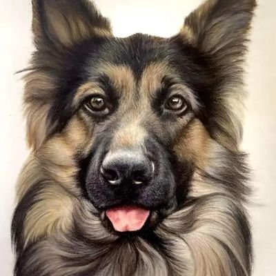 Devbarage's profile picture. gnoma 🧙‍♂️,🧙‍♂️