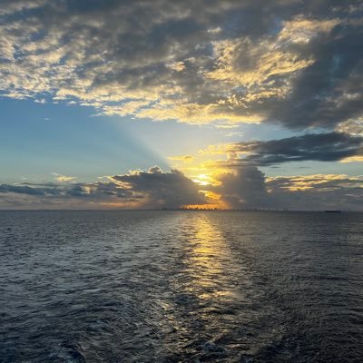 carnivoreAlG's profile picture. Eat more meat to save the humans. 🇨🇺🇺🇸